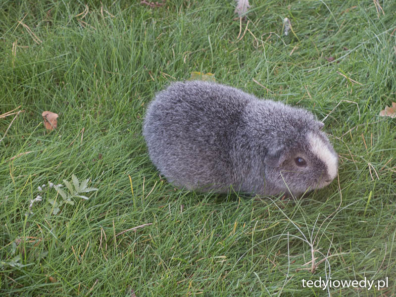 20150829T170956IMG_4746