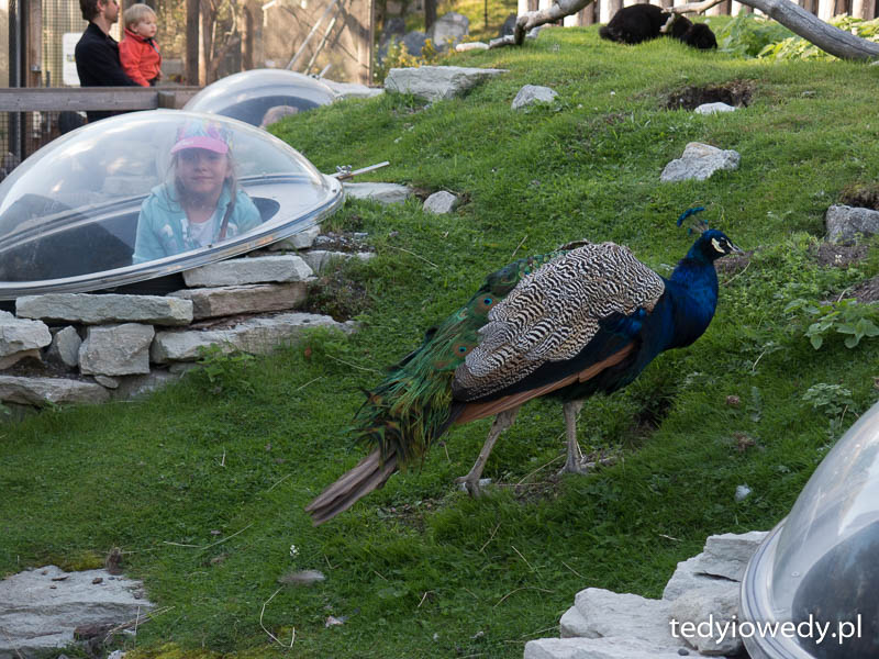 20150829T171354IMG_4760