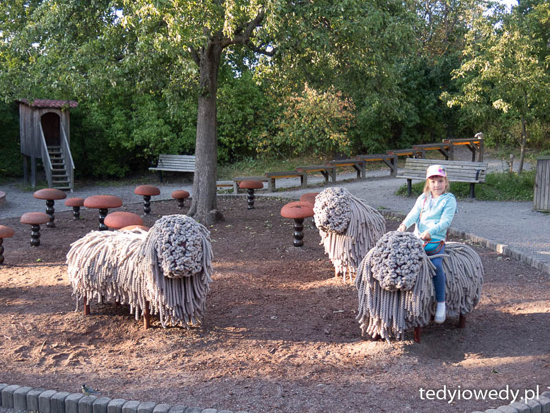 20150829T182739IMG_4830