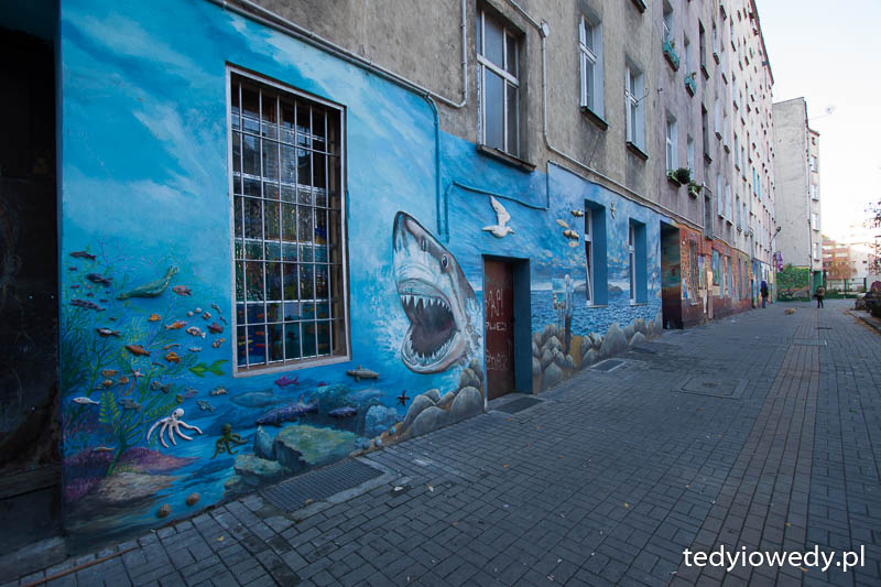20151108T133152_MG_7247