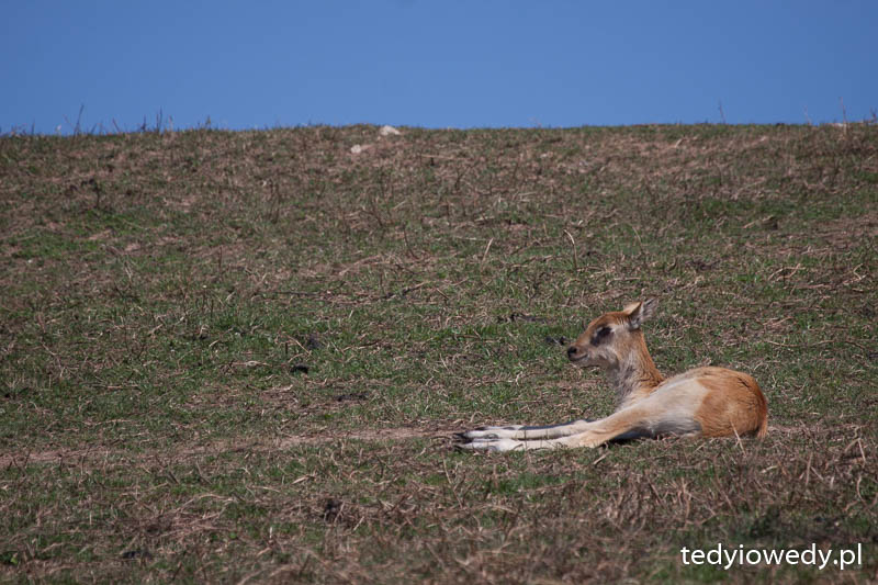 20140723T102258_MG_1542