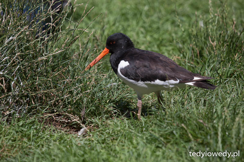 20140723T115928_MG_1779