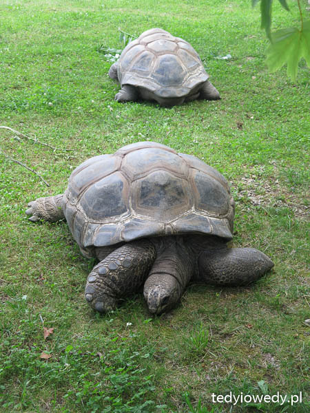 20140723T122457IMG_3040