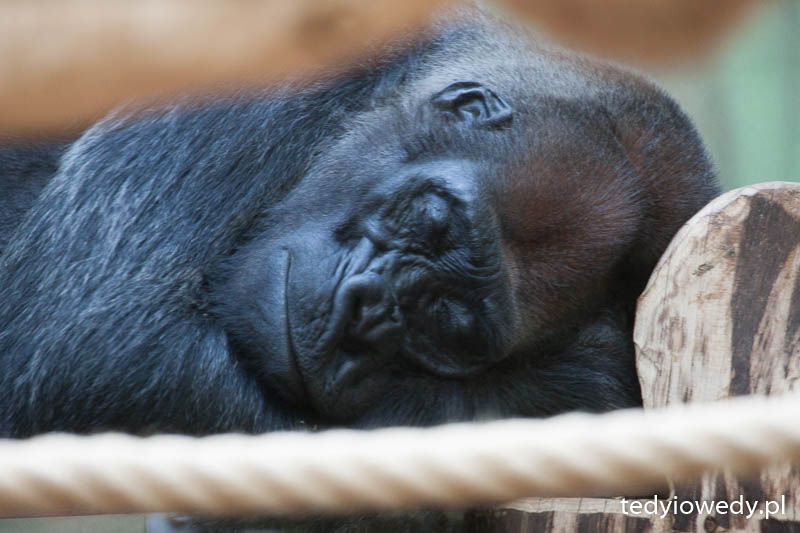 20140723T122944_MG_1891