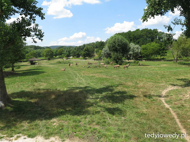 20140723T124027IMG_3077