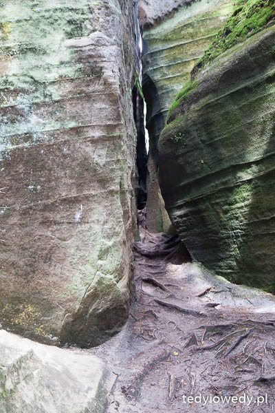 20140725T104606_MG_2038