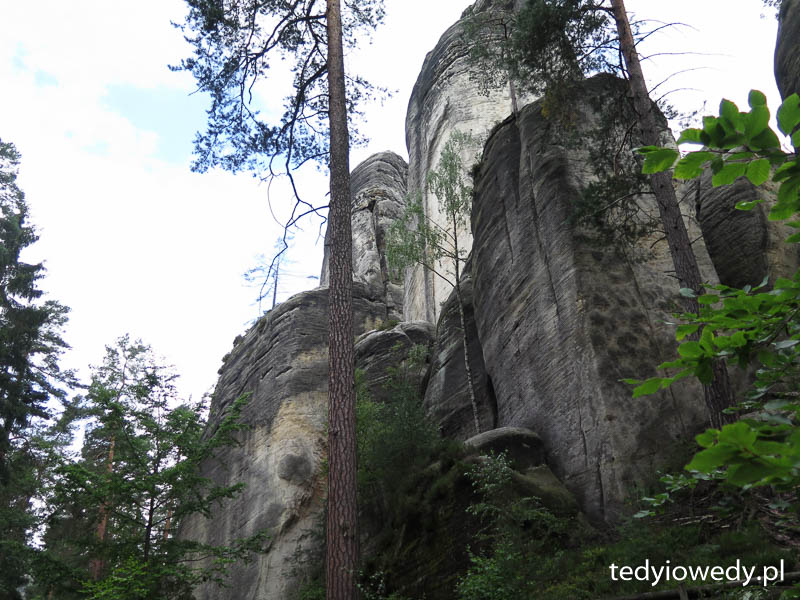 20140725T105143IMG_3450