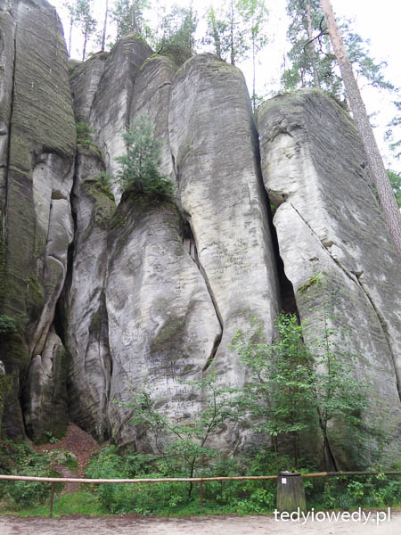 20140725T105249IMG_3455