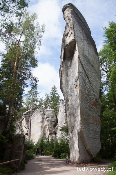 Czeskie safari i Skalne Miasto 20140725T105531_MG_2066