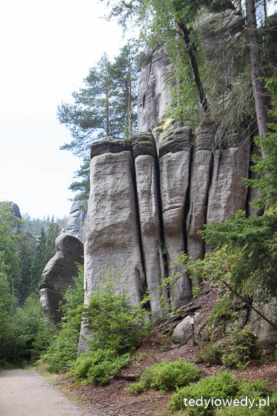 20140725T110017_MG_2086