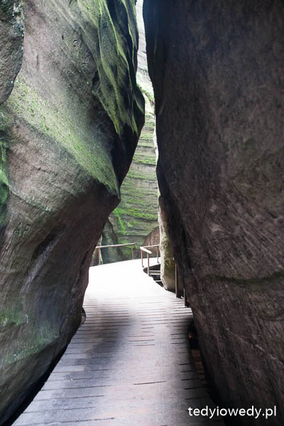 20140725T110440_MG_2113