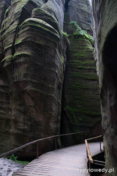 Skalne Miasto 20140725T110456_MG_2117