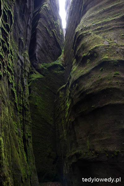 20140725T110537_MG_2123