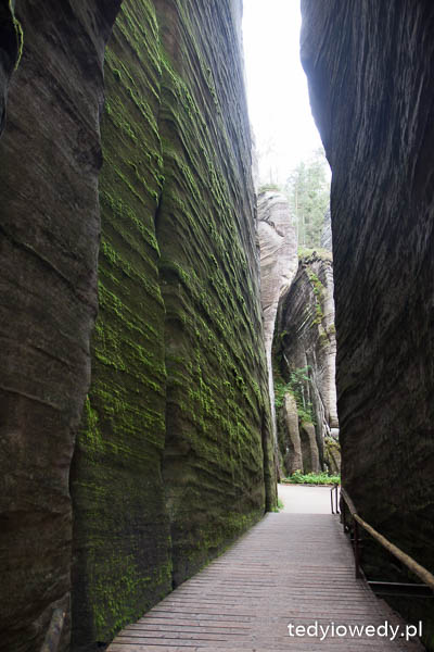 20140725T110623_MG_2134