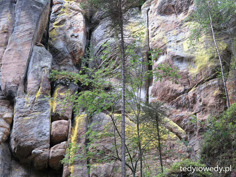 20140725T111431IMG_3539