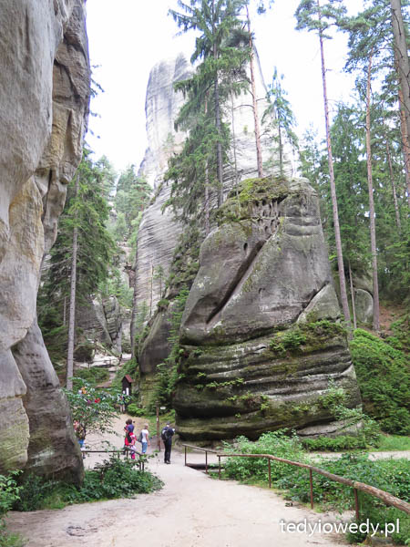  Czeskie safari i Skalne Miasto 20140725T123904IMG_3583