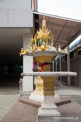 20160216T172745IMG_4284