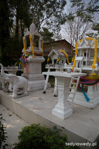 20160218T112458IMG_5364