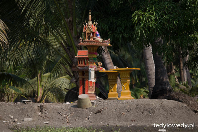 20160219T095356IMG_5584