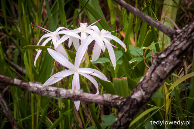 20150430T160712_MG_9062