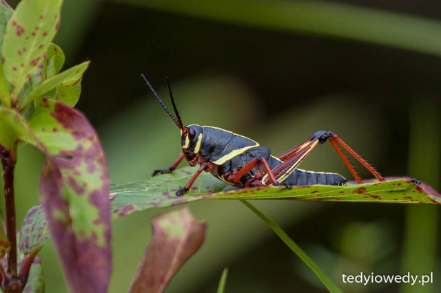20150430T162336_MG_9130