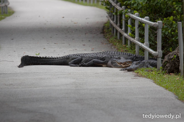 20150430T175336_MG_9475