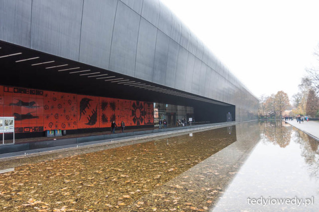 20151107T145214_MG_6494