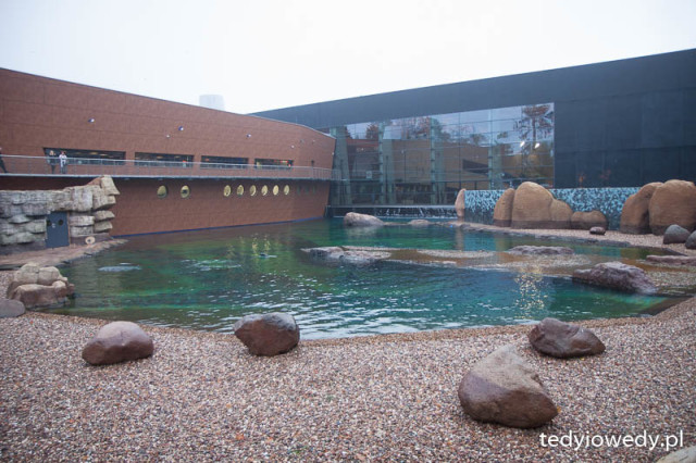 20151107T154334_MG_6642
