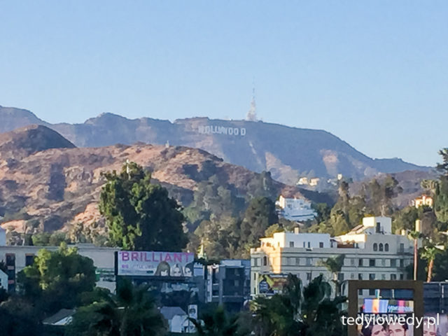 hollywood
