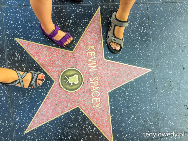 hollywood