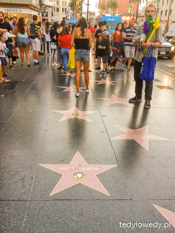 hollywood