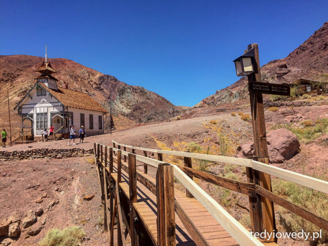 Calico Zapora Hoovera