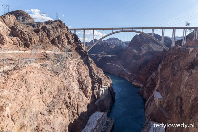 Calico Zapora Hoovera