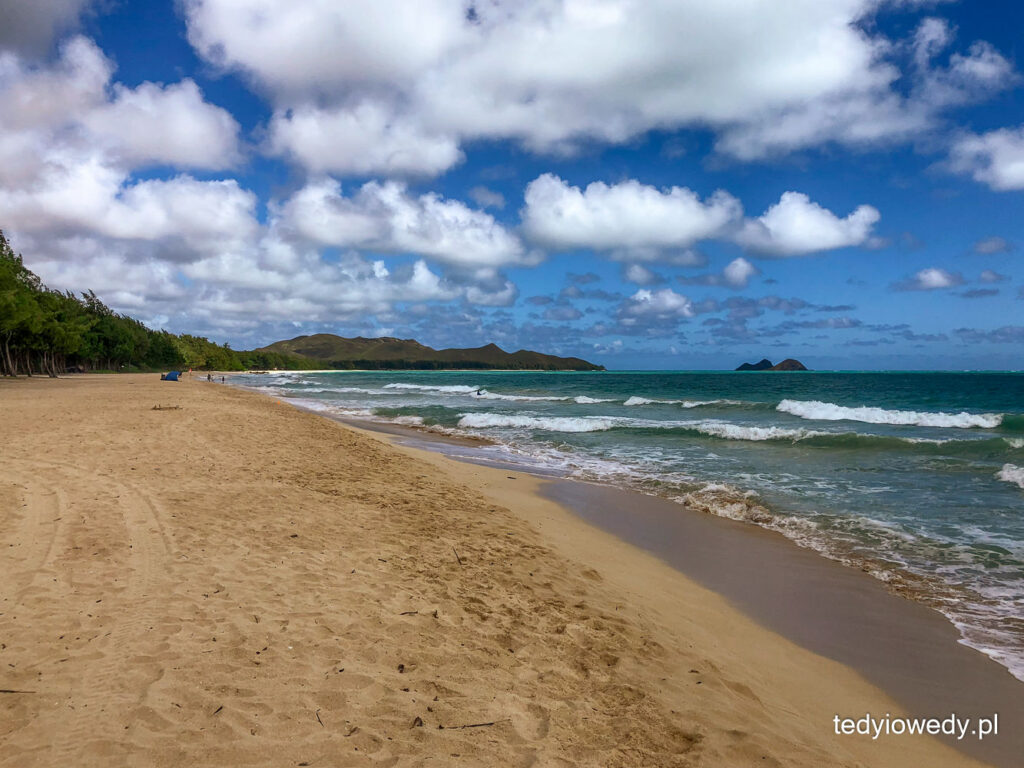 plażowanie na Oahu