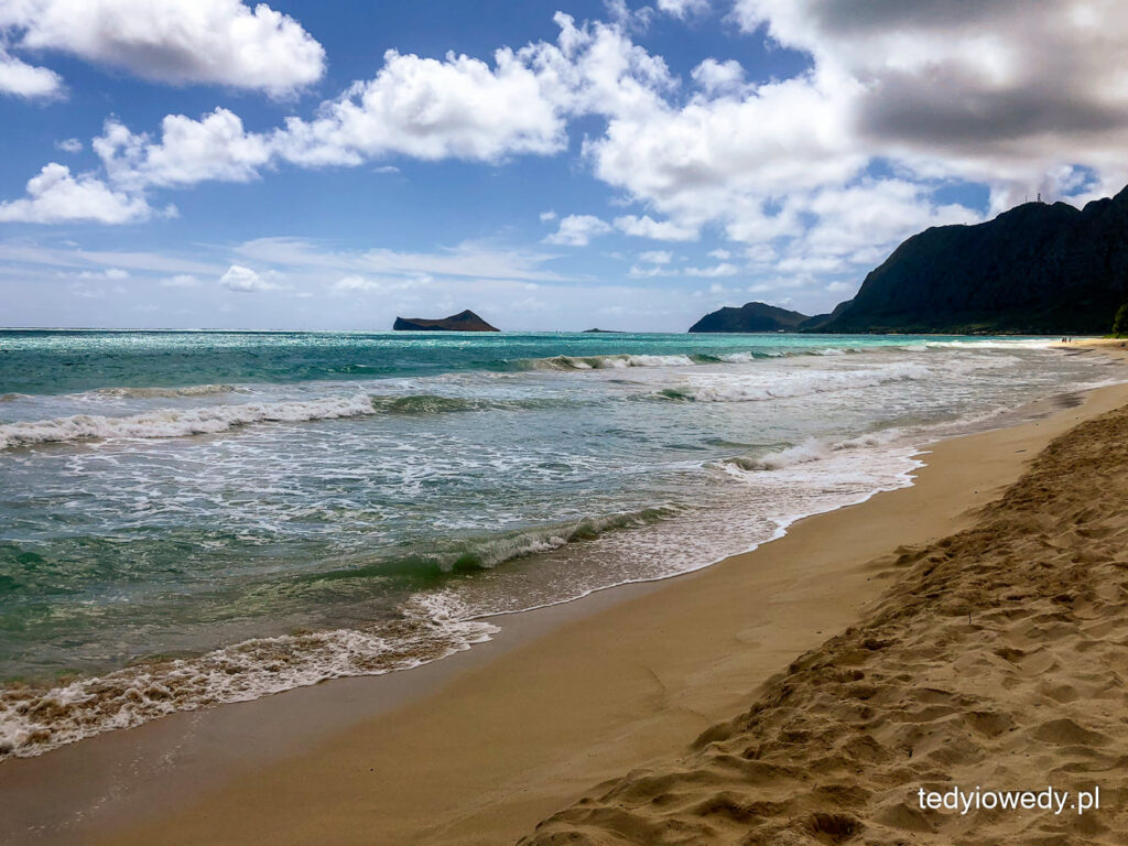 plażowanie na Oahu