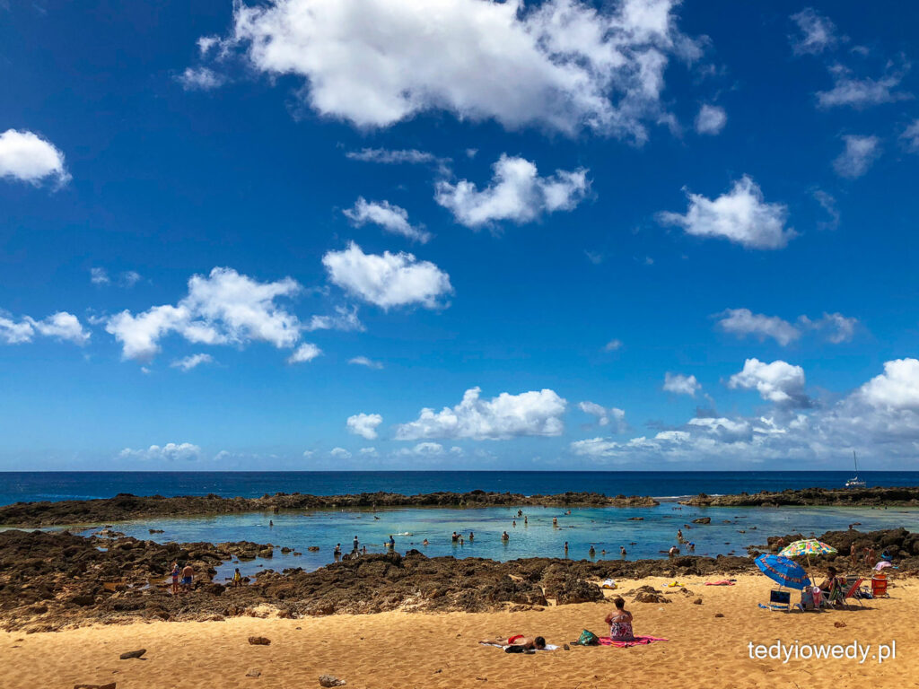 plażowanie na Oahu