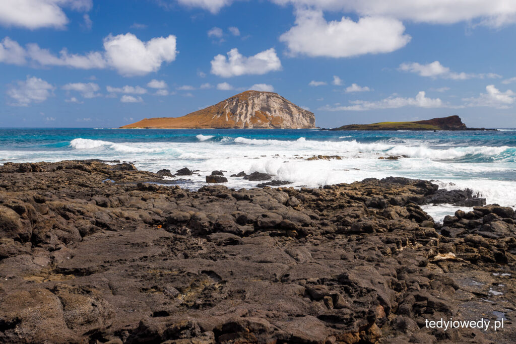plażowanie na Oahu
