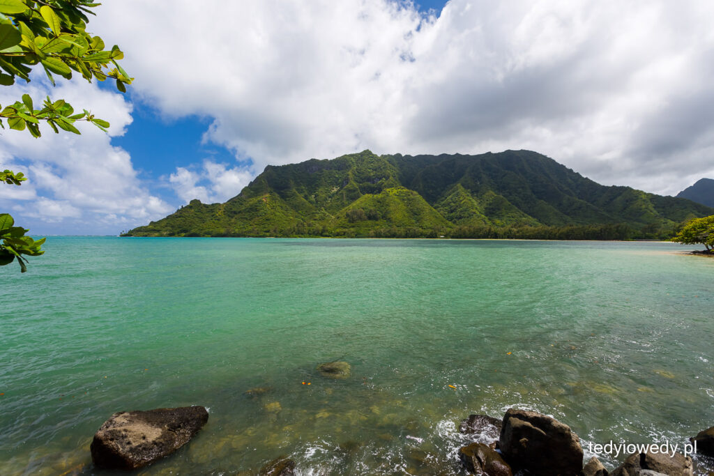 plażowanie na Oahu
