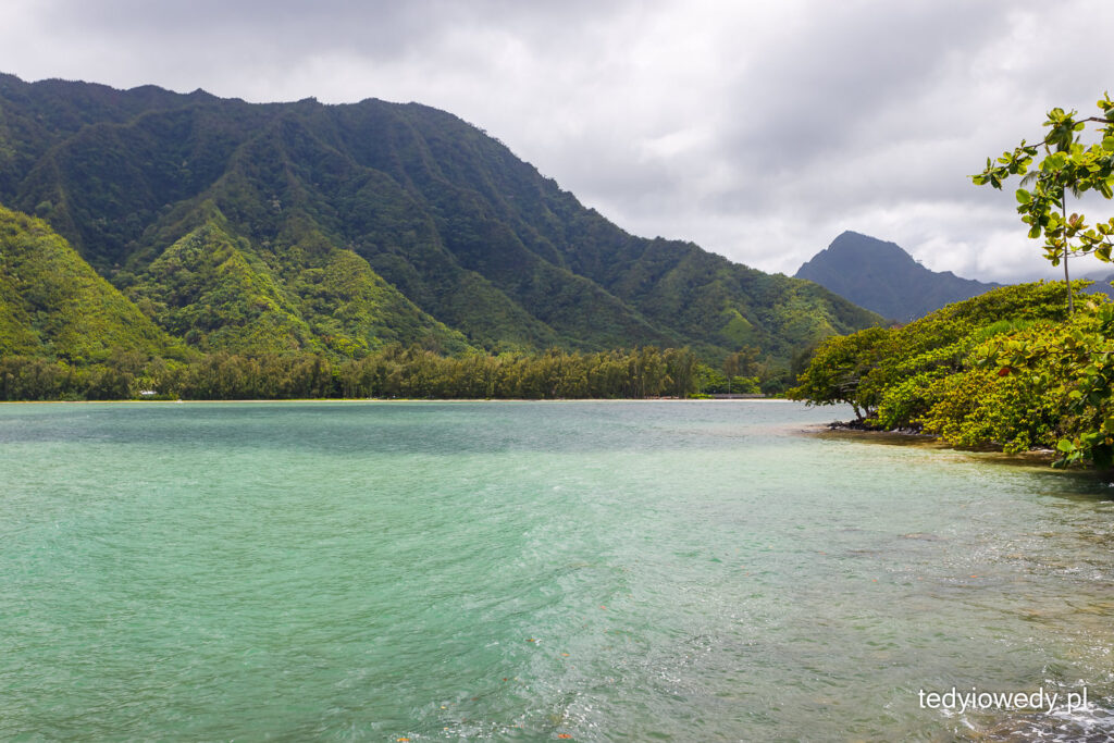 plażowanie na Oahu