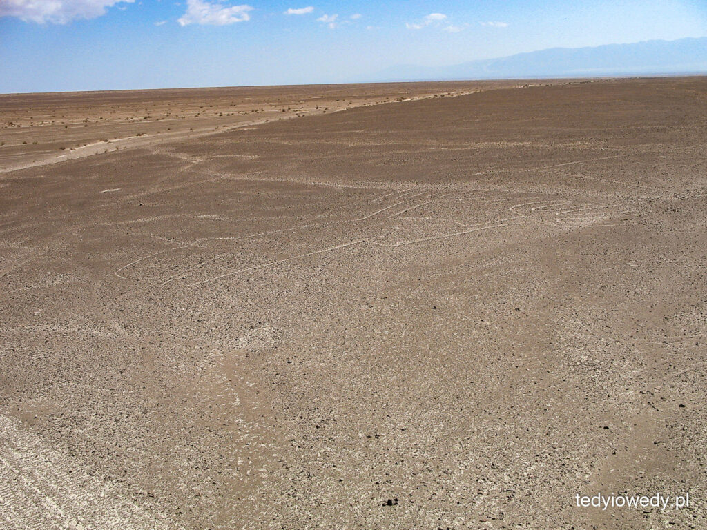 pustynia nazca